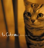 to cats - 투 캣츠