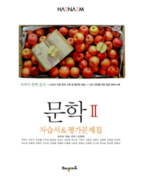 HAENAEM 해냄 고등 문학 2 자습서 & 평가문제집 (2014년)