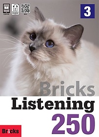 Bricks Listening 250 3