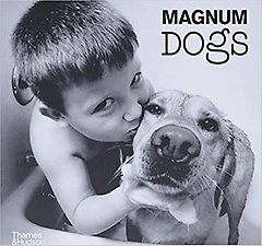 Magnum Dogs