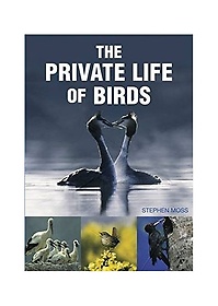 The Private Life of Birds