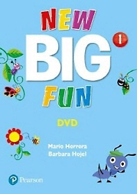 Big Fun Refresh 1 DVD