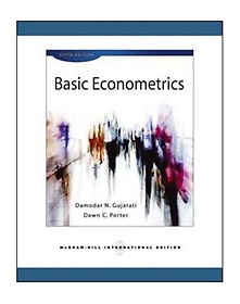 Basic Econometrics