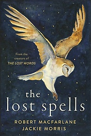 The Lost Spells (Hardcover)