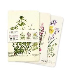 <font title="Royal Botanic Garden Edinburgh Set of 3 Mini Notebooks">Royal Botanic Garden Edinburgh Set of 3 ...</font>