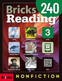 Bricks Reading 240 3
