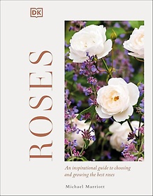 <font title="Roses: Discover Their Potential 