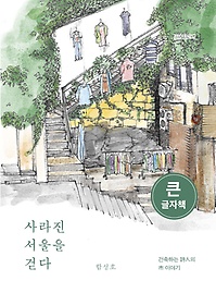 사라진 서울을 걷다(큰글자책)