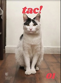 Ű Ź 1ȣ(magazine tac):  