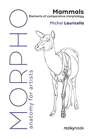 Morpho: Mammals (Anatomy for Artists, 9)