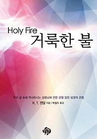 ŷ (Holy Fire)