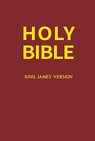 Holy Bible(ǵ)