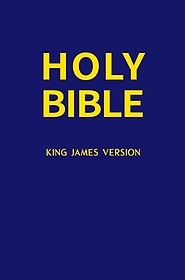 Holy Bible(̺)