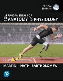 <font title="Fundamentals of Anatomy and Physiology (Global Edition), 12/E(Paperback)">Fundamentals of Anatomy and Physiology (...</font>