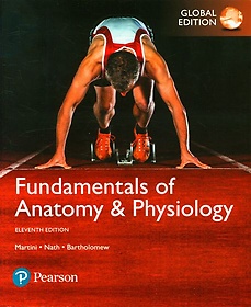 <font title="Fundamentals of Anatomy  Physiology, Global Edition(Paperback), 11/E (Paperback)">Fundamentals of Anatomy  Physiology, Glo...</font>