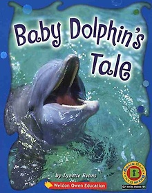 BABY DOLPHINS TALE Ʈ