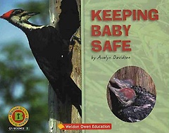 KEEPING BABY SAFE