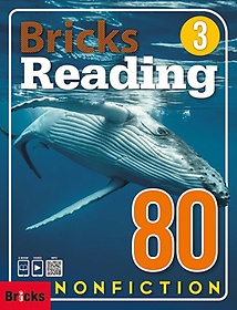 Bricks Reading 80 Nonfiction 3
