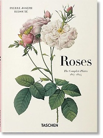 Redoute. Roses