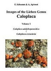 <font title="Images of the Lichen Genus Caloplaca, Vol 1">Images of the Lichen Genus Caloplaca, Vo...</font>