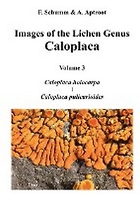 <font title="Images of the Lichen Genus Caloplaca, Vol 3">Images of the Lichen Genus Caloplaca, Vo...</font>