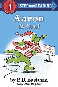 Aaron is Cool