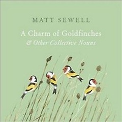 <font title="Charm of Goldfinches and Other Collective Nouns">Charm of Goldfinches and Other Collectiv...</font>