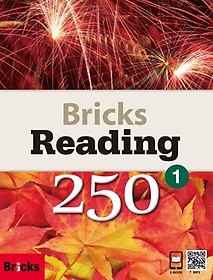 Bricks Reading 250 1
