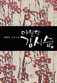 매월당 김시습 2(큰글자도서)
