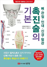 뼈 관절 인대 신경 혈관 촉진술의 기본