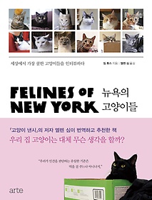 뉴욕의 고양이들