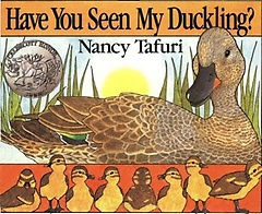 ο Have You Seen My Duckling?
