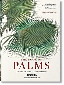 Martius, The Book of Palms