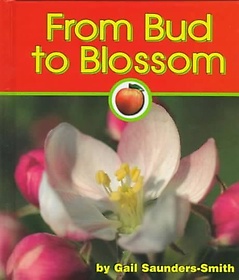 From Bud to Blossom