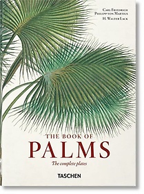 Von Martius. the Book of Palms. 40th Ed.