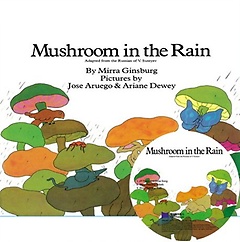  Mushroom in the Rain