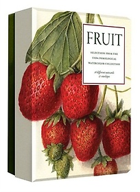 Fruit (an Abbeville Notecard Set)