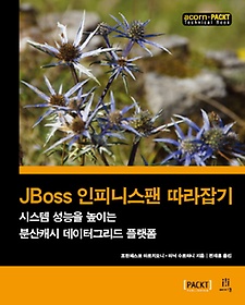JBoss ǴϽ 
